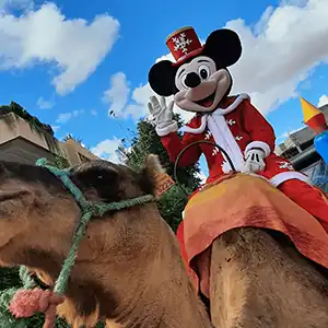 Mickey Mouse avec un chameau pour anniversaire à Marrakech